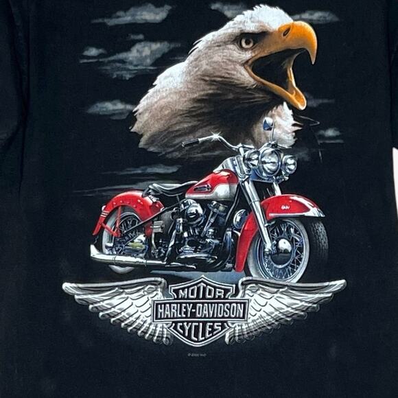 Vintage Harley Davidson Eagle South Africa T-Shirt Tee Size M 2000 Y2K USA - Picture 3 of 9